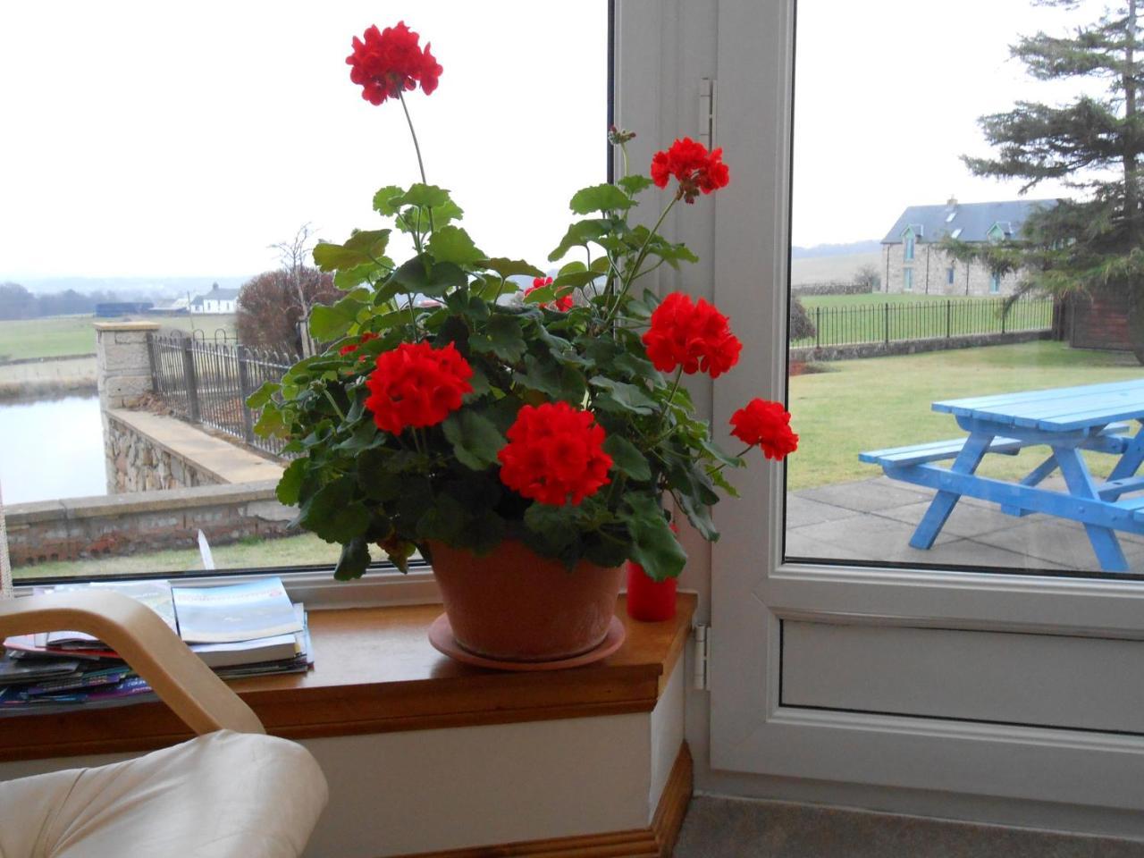 Tambowie Farm Bed & Breakfast Milngavie Εξωτερικό φωτογραφία